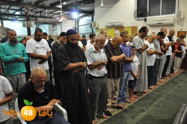 msajed amer qder 804 (38).JPG